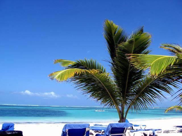 Larimar Beach Punta Cana Hotell Eksteriør bilde